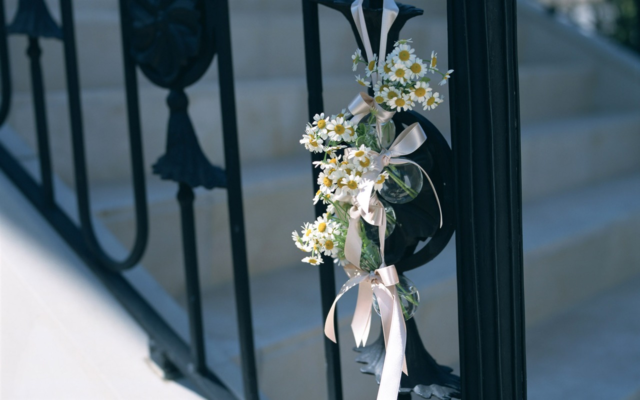Flowers Widescreen Wallpaper #22 - 1280x800