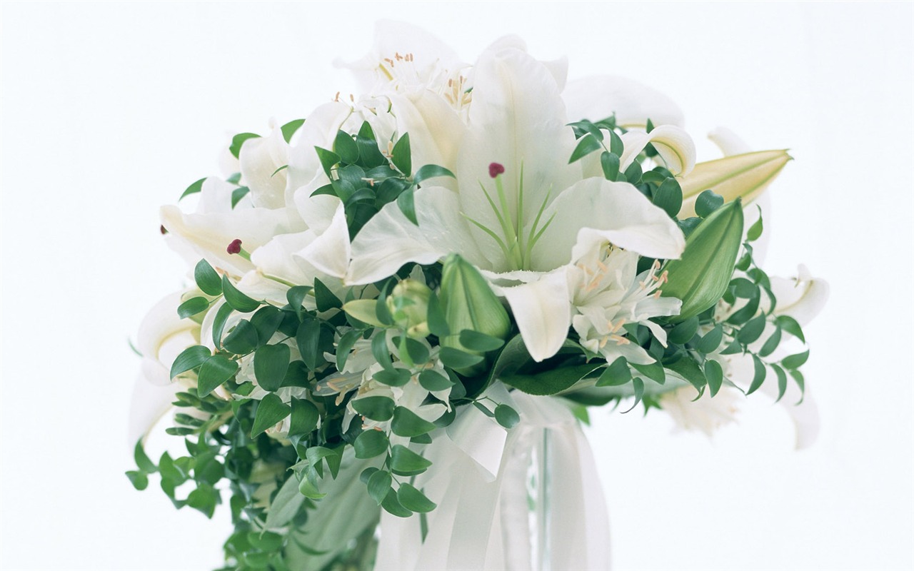 Flowers Widescreen Wallpaper #23 - 1280x800