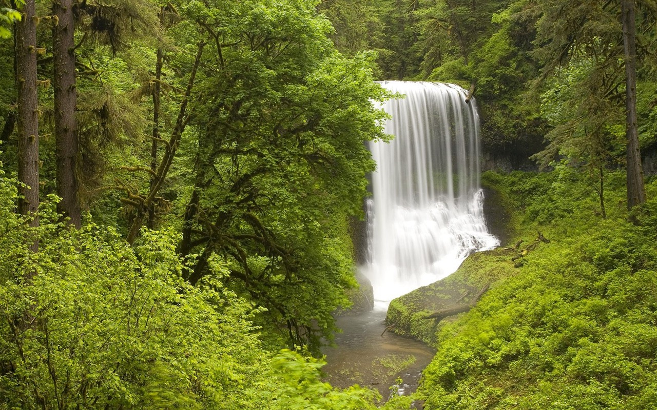 Webshots風光壁紙(11) #6 - 1280x800