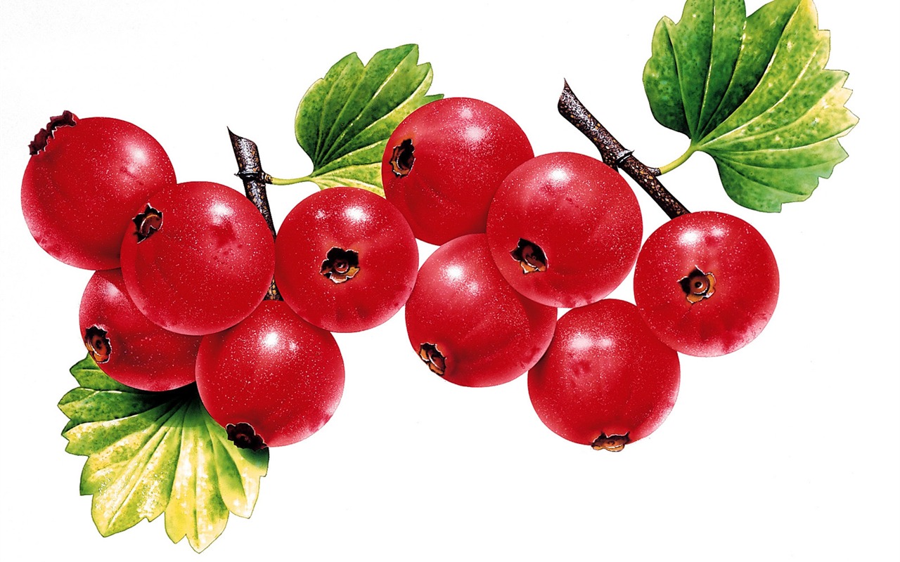 Exquisite hand-painted wallpaper Fruits #12 - 1280x800