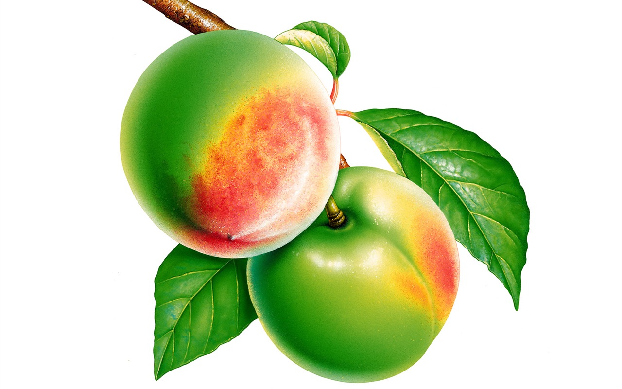 Exquisite hand-painted wallpaper Fruits #15 - 1280x800
