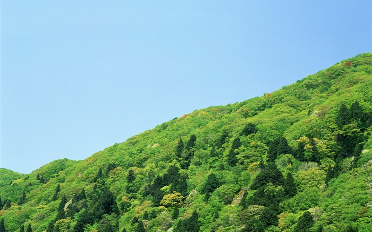 自然風光精選(十) #14 - 1280x800