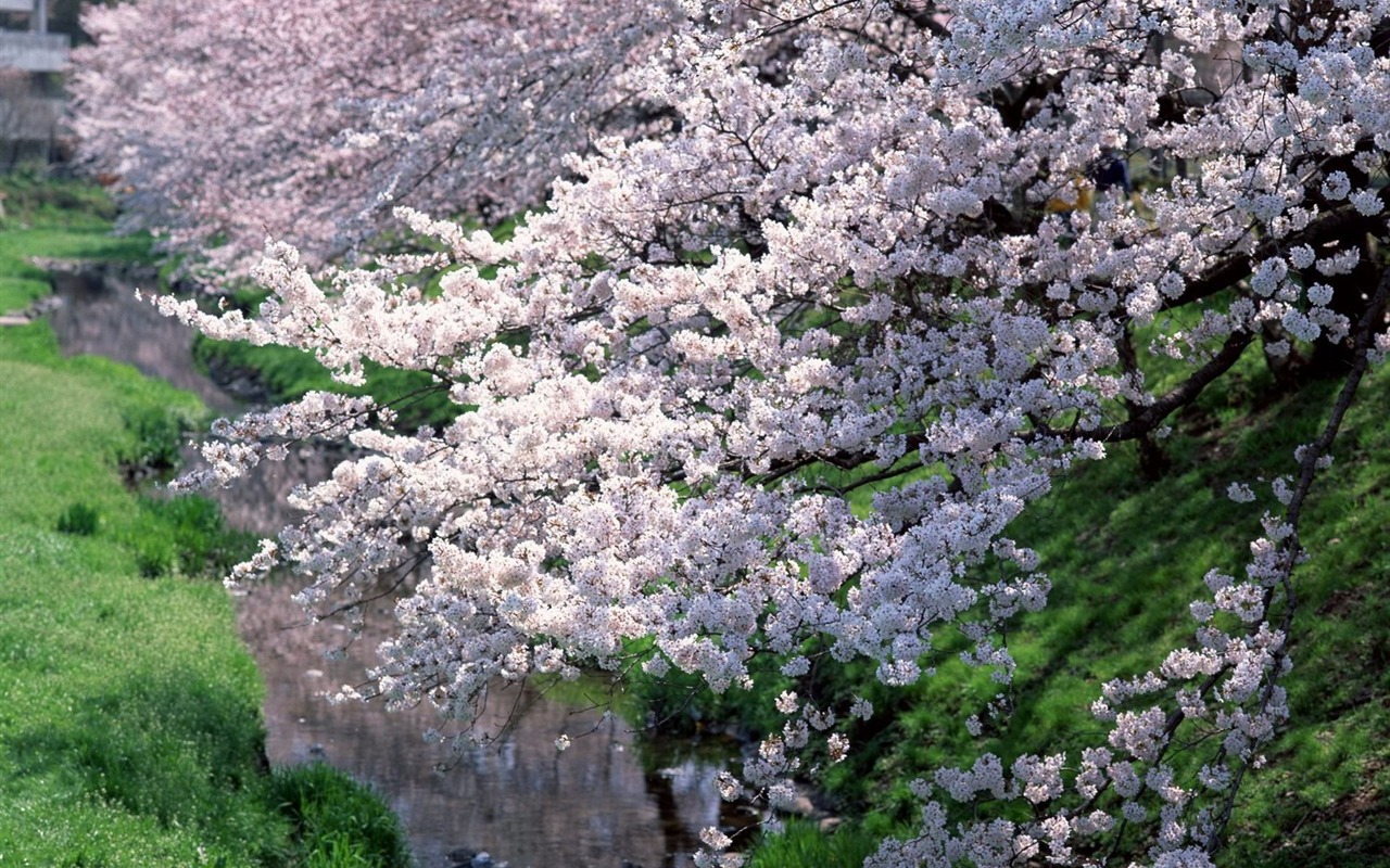 自然風光精選(十) #31 - 1280x800