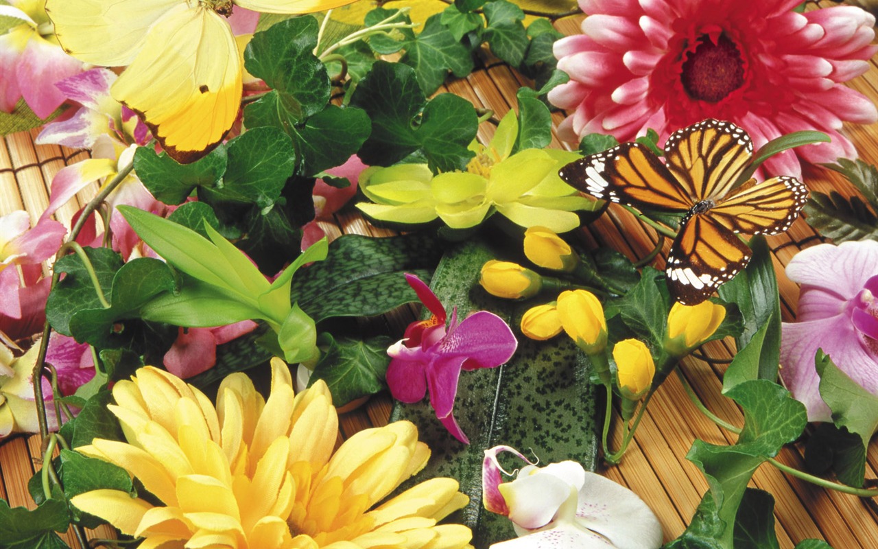 Las mariposas y las flores fondos de escritorio de disco (1) #19 - 1280x800
