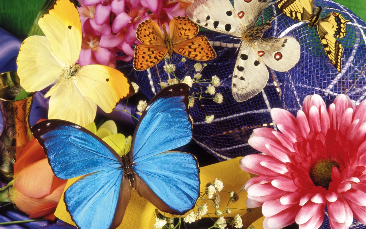 Papillons et fleurs album papier peint (1) #20 - 1280x800