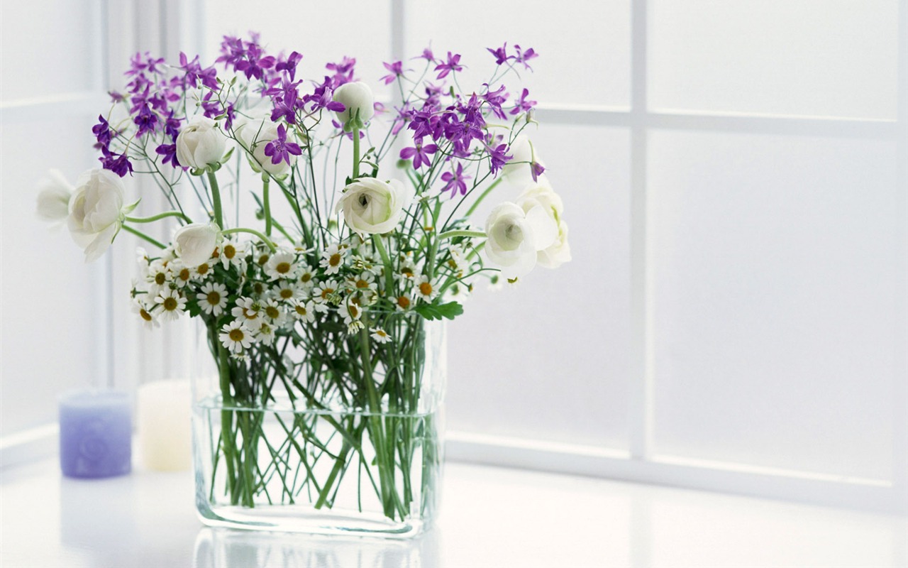 Room Flower photo wallpapers #2 - 1280x800