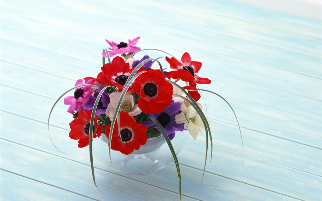 室中花寫真壁紙 #24 - 1280x800