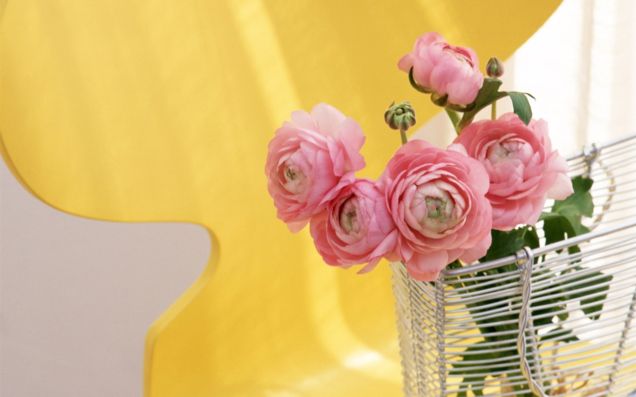 室中花寫真壁紙 #27 - 1280x800