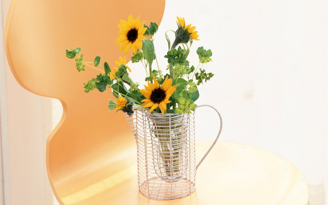 室中花寫真壁紙 #34 - 1280x800