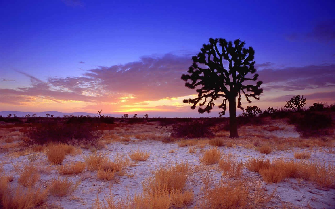 Natural Scenery Highlights (11) #1 - 1280x800