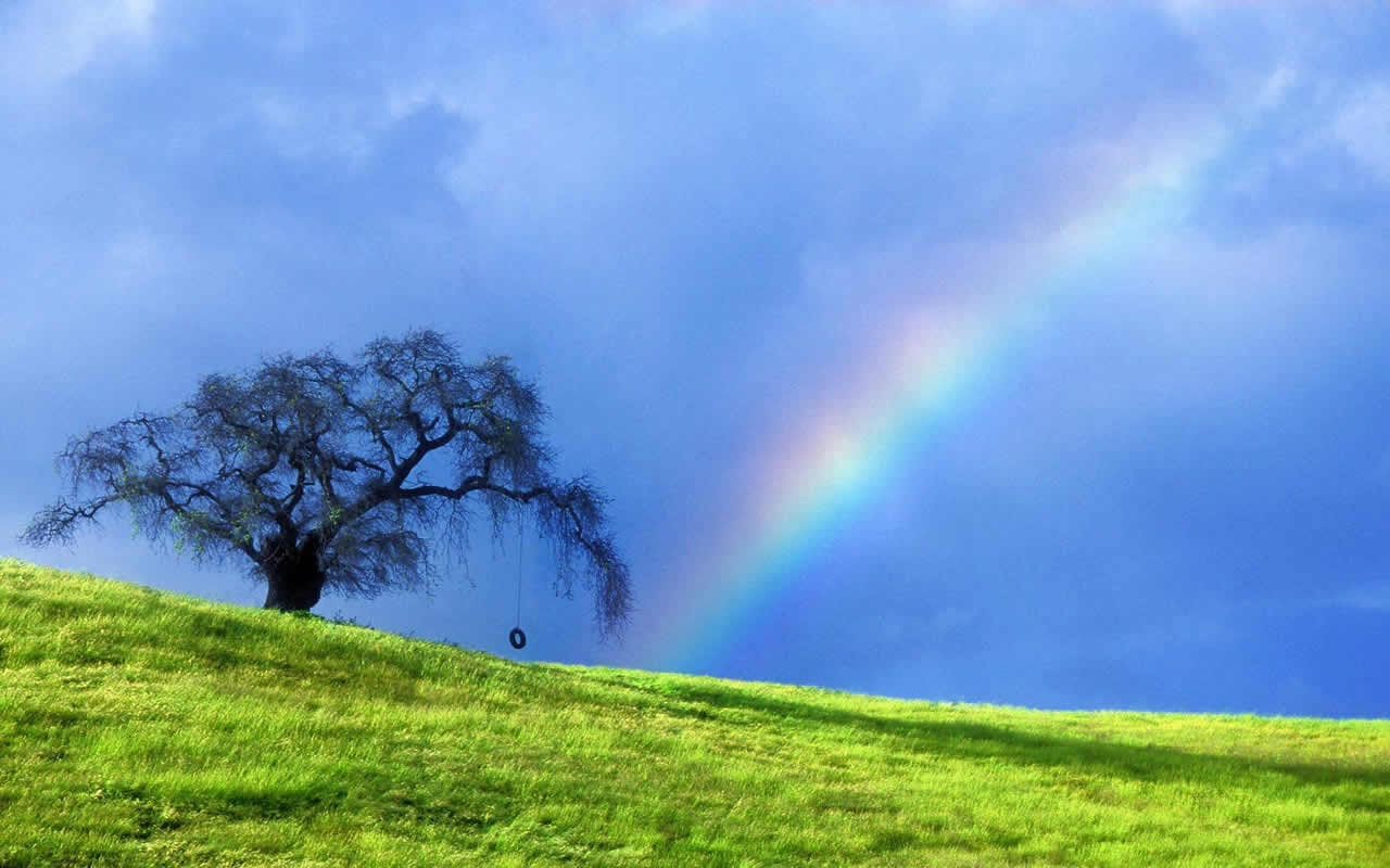 Natural Scenery Highlights (11) #2 - 1280x800