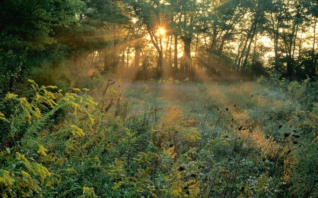 Natural Scenery Highlights (11) #8 - 1280x800