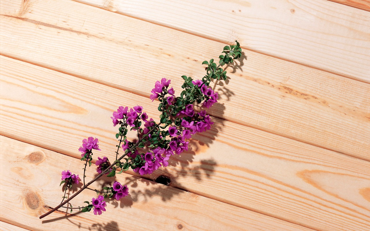 Floral Art Wallpaper #4 - 1280x800