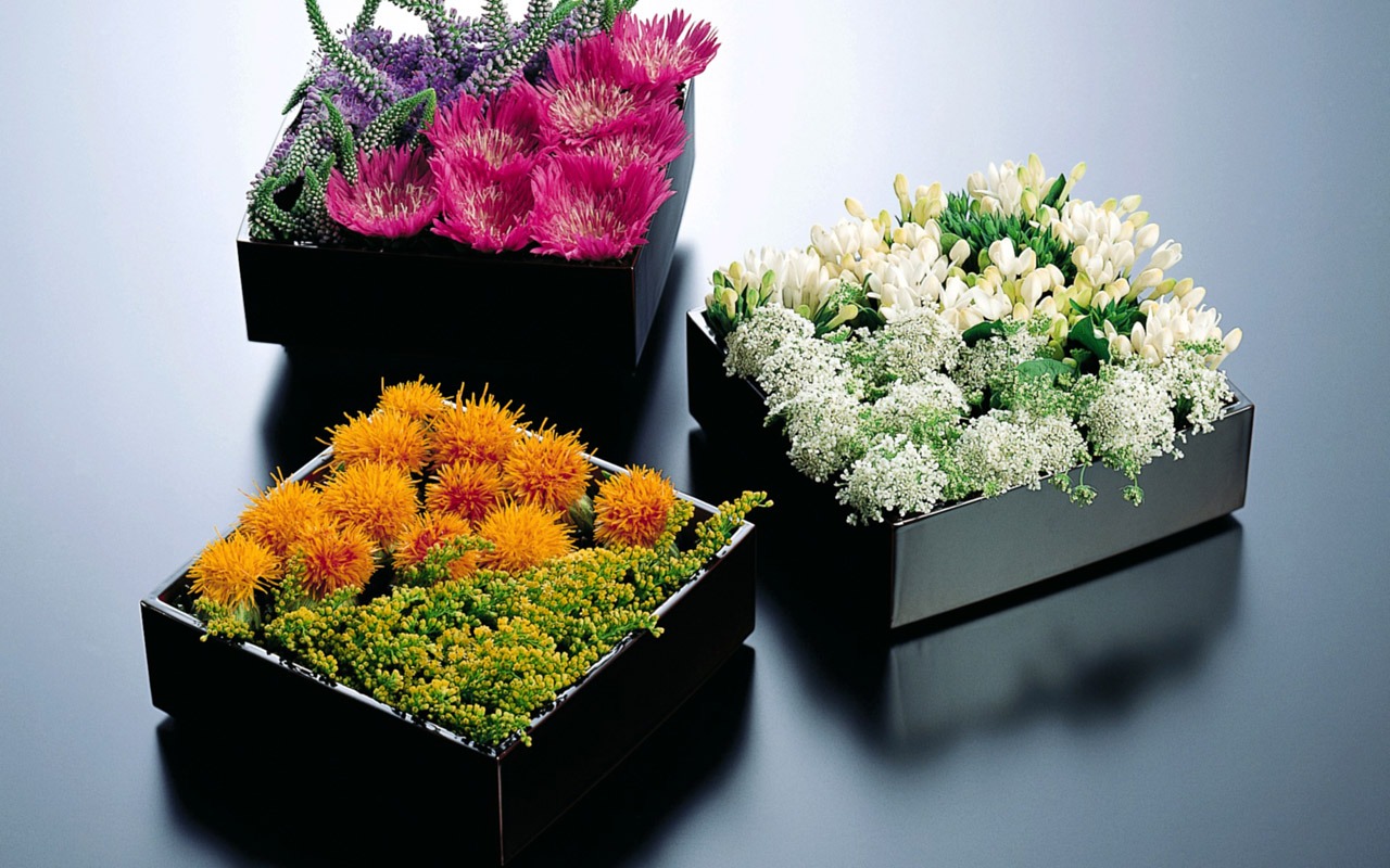 Floral Art Wallpaper #6 - 1280x800