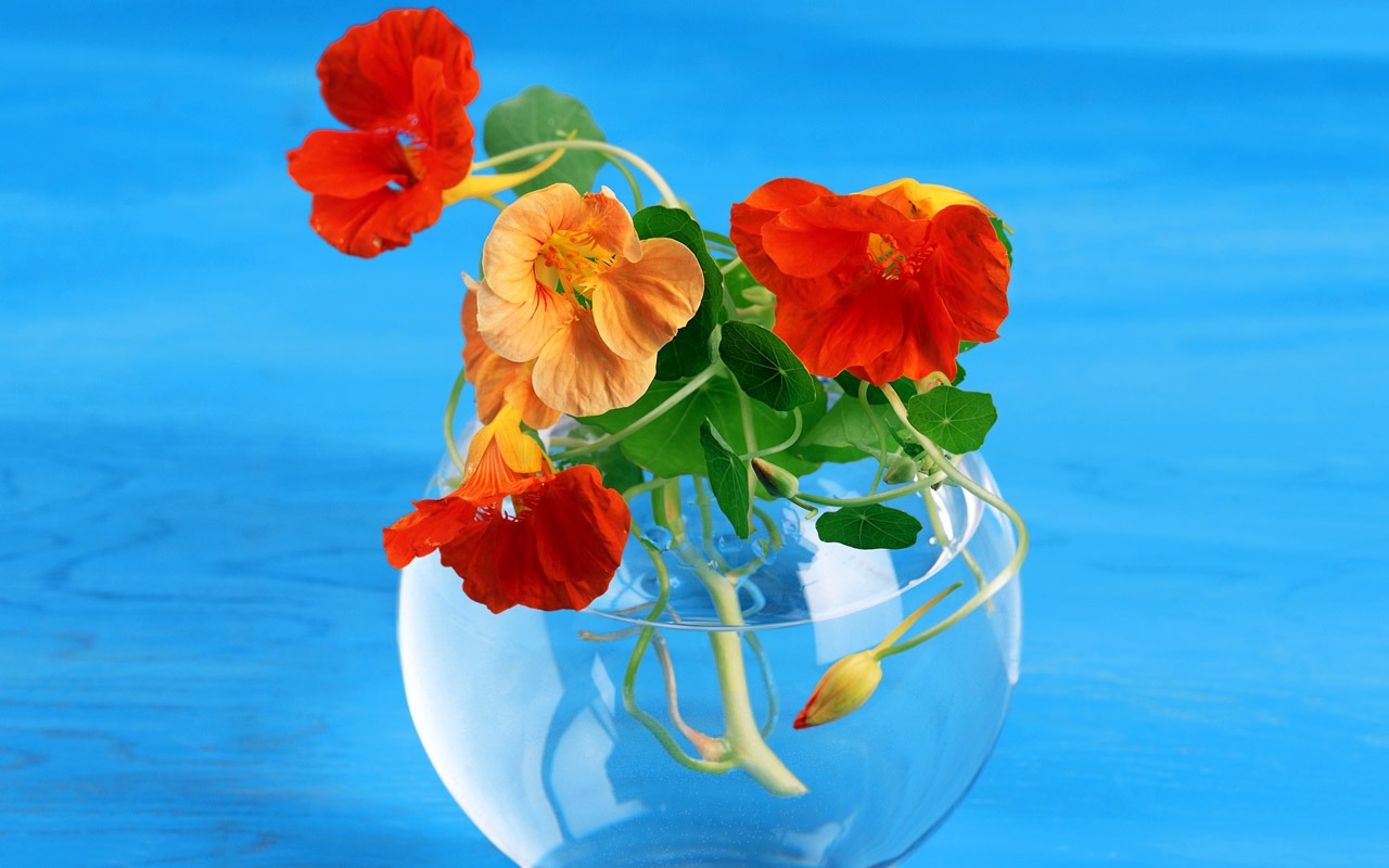 Floral Art Wallpaper #8 - 1280x800