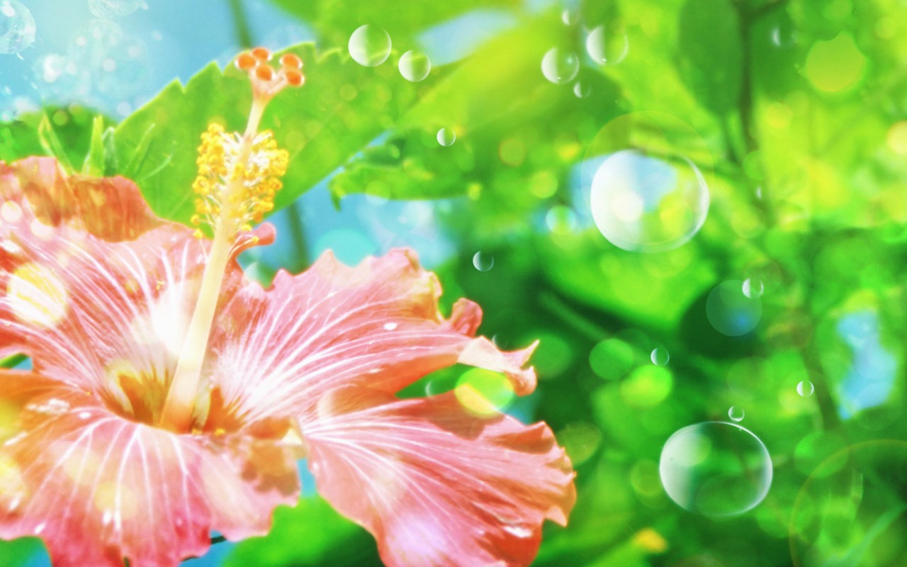 梦幻CG背景花卉壁纸1 - 1280x800