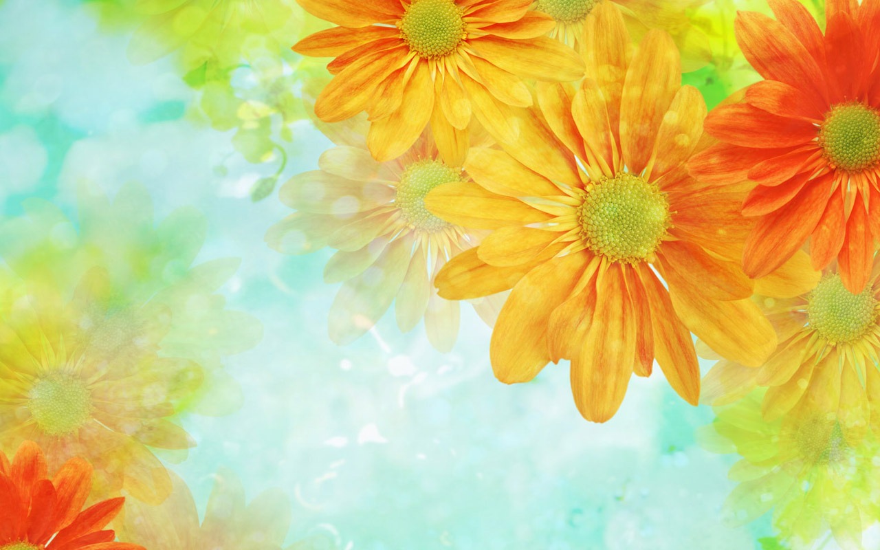 梦幻CG背景花卉壁纸2 - 1280x800