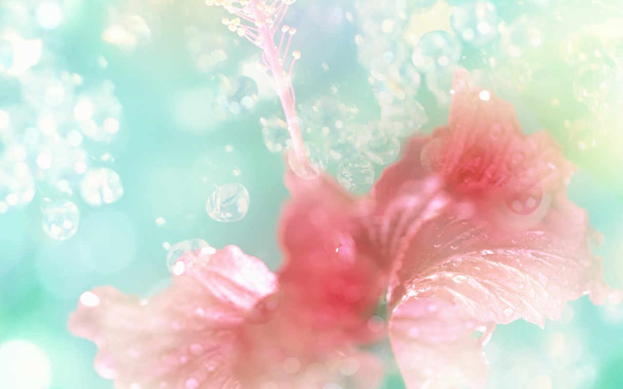梦幻CG背景花卉壁纸5 - 1280x800