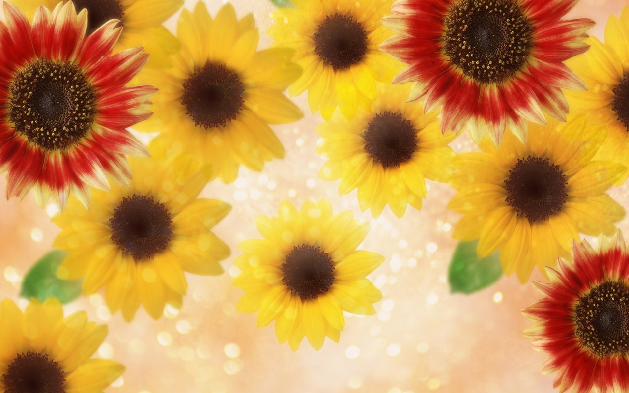 夢幻CG背景花卉壁紙 #14 - 1280x800