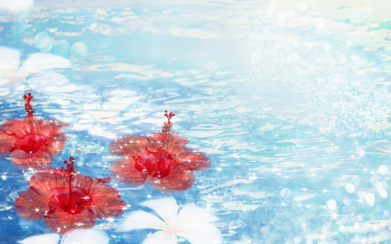 夢幻CG背景花卉壁紙 #19 - 1280x800
