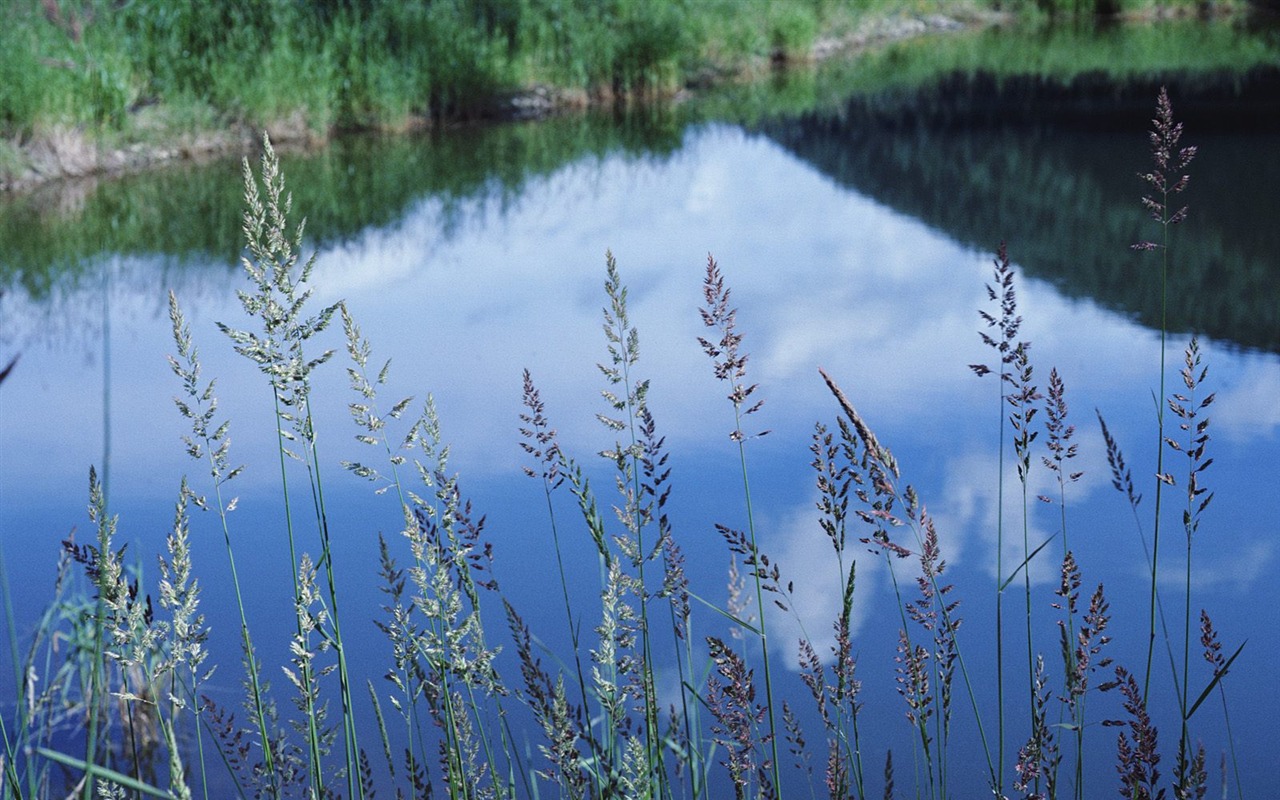 Un décor naturel magnifique Wallpaper #8 - 1280x800