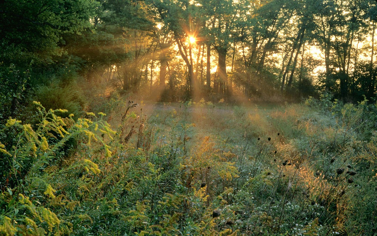 Webshots Landschaftsfotografie Tapete #17 - 1280x800