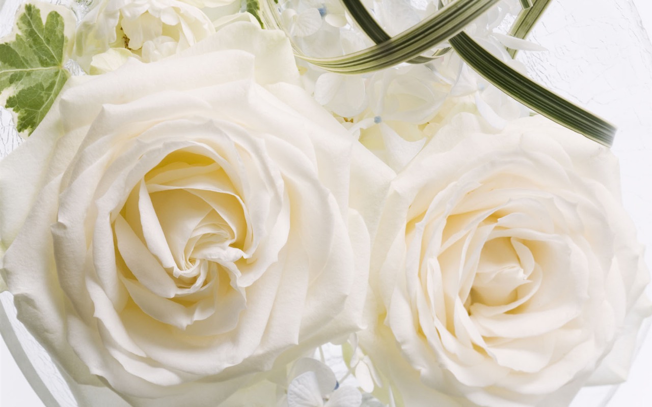 Wedding Flowers Wallpapers (1) #16 - 1280x800