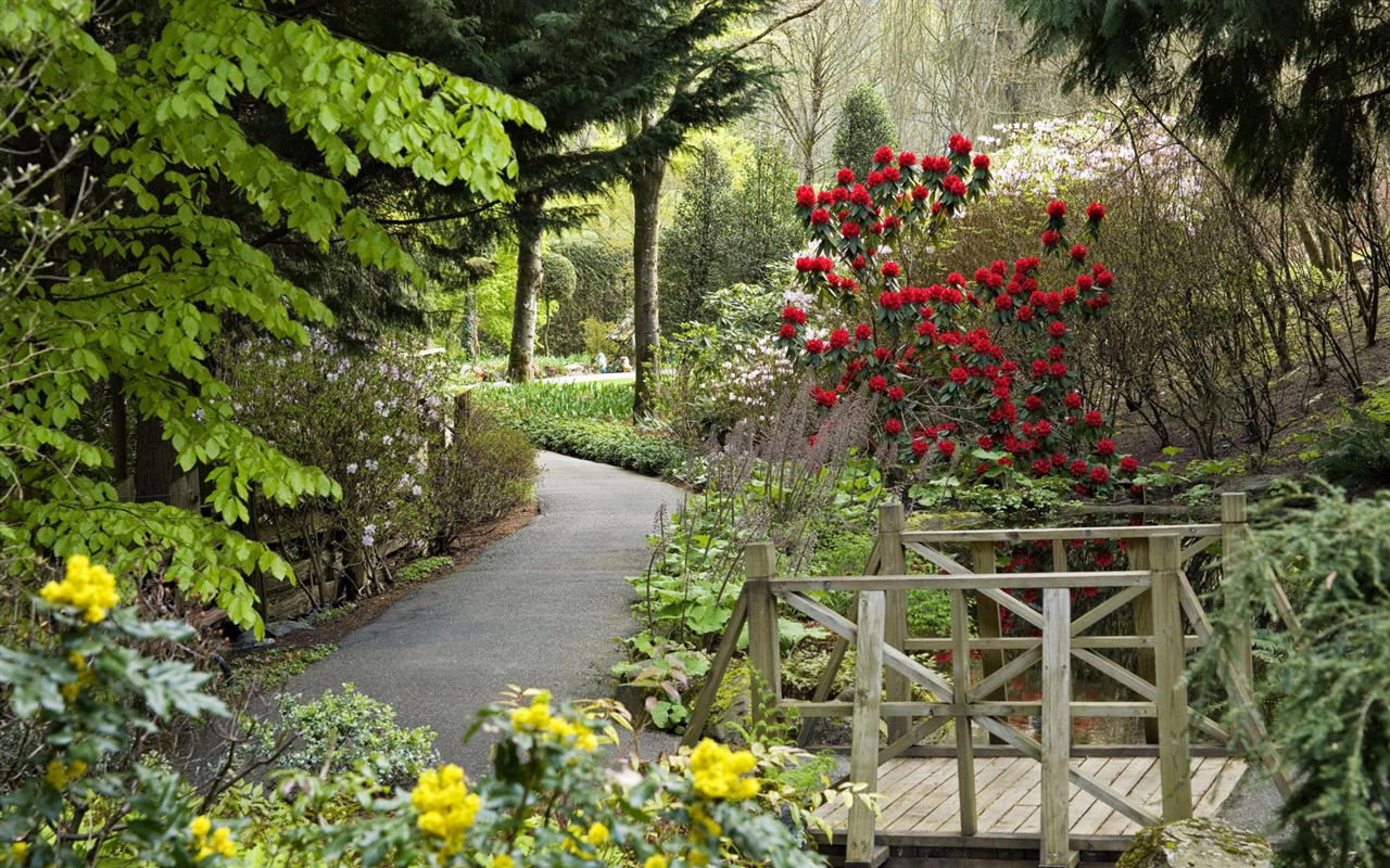 Charming natural scenery HD Wallpaper (1) #7 - 1280x800