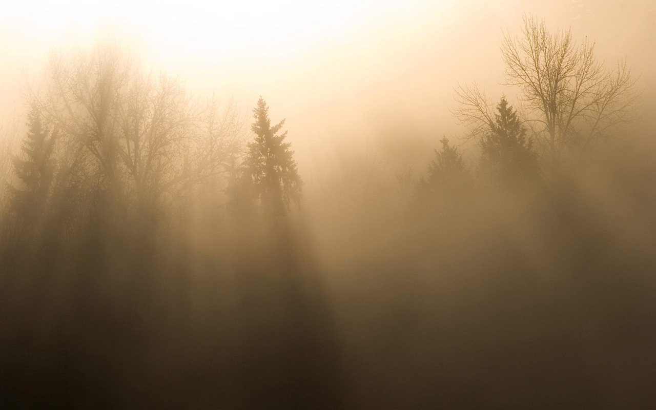 Beautiful natural scenery Wallpaper #7 - 1280x800