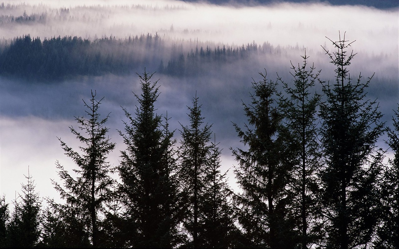 Beautiful natural scenery Wallpaper #10 - 1280x800