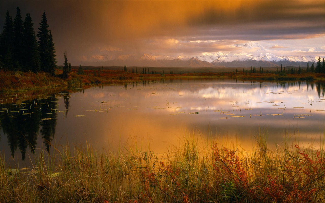 Okouzlující přírodní scenérie HD Wallpaper (2) #9 - 1280x800
