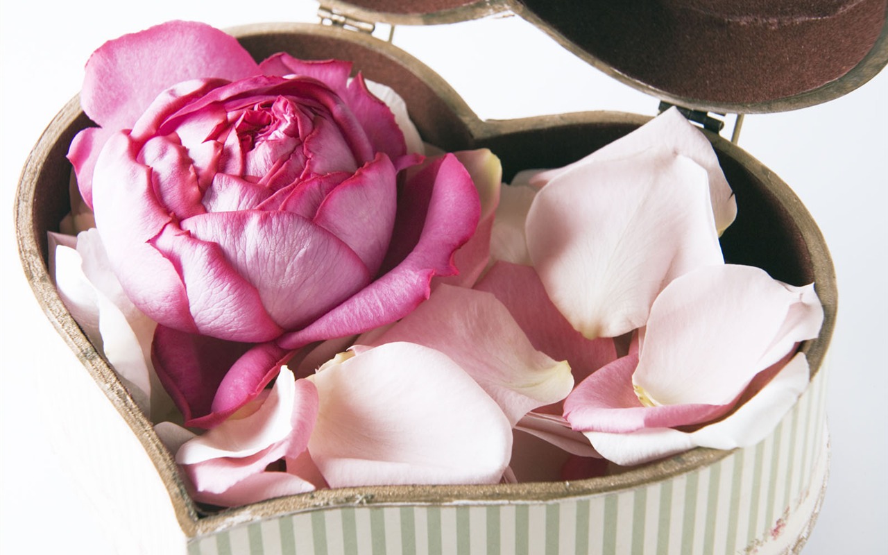 Wedding Flowers Wallpapers (3) #12 - 1280x800