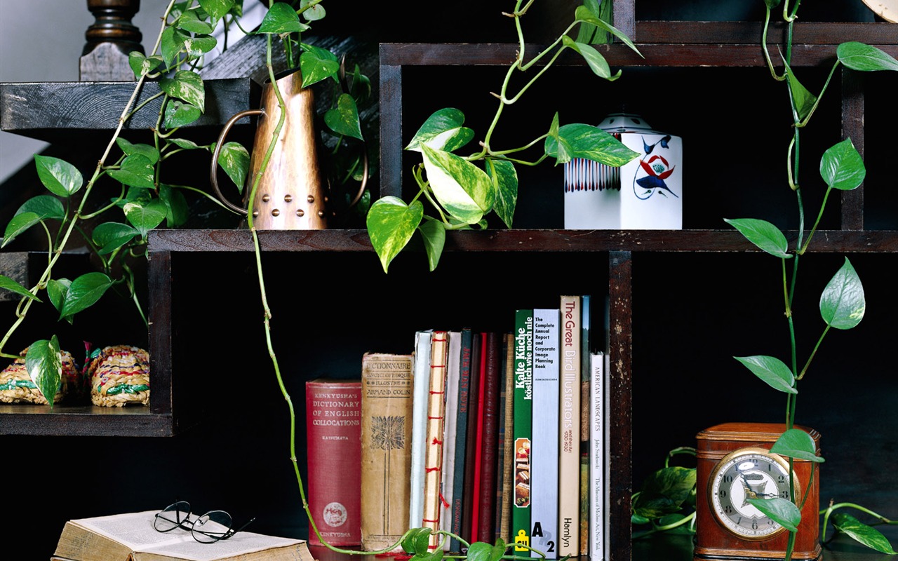 Home Still Life Wallpaper (7) #1 - 1280x800