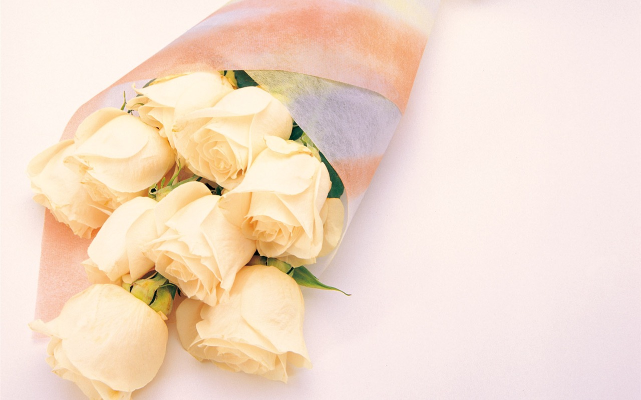 Rose Photo Wallpaper (1) #3 - 1280x800