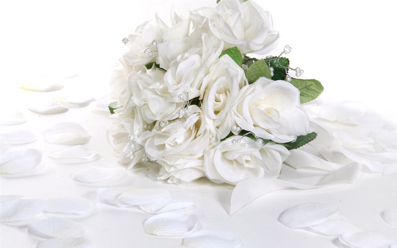 Rose Photo Wallpaper (1) #14 - 1280x800