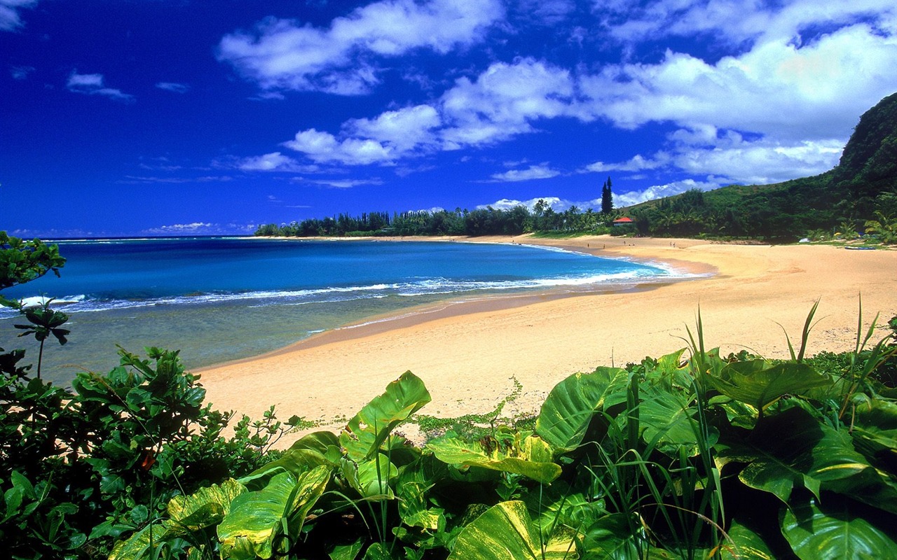 Hermoso paisaje de Hawai Wallpaper #11 - 1280x800