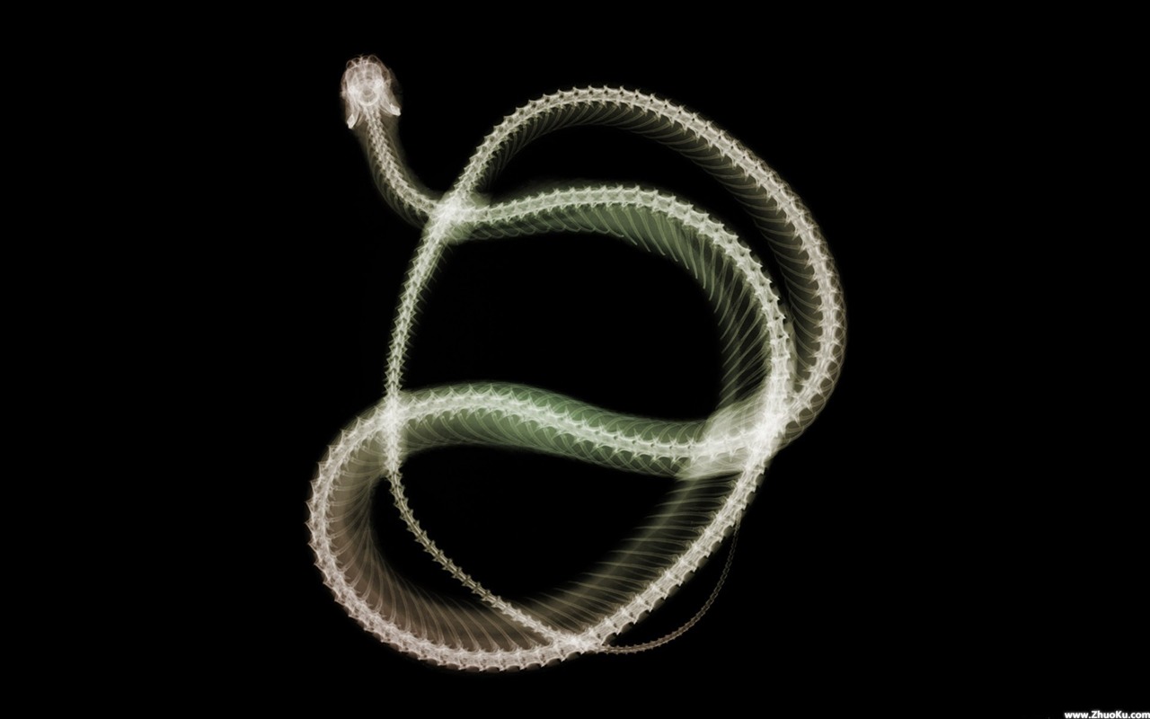 výhledu fluorescence širokoúhlý Tapeta #10 - 1280x800