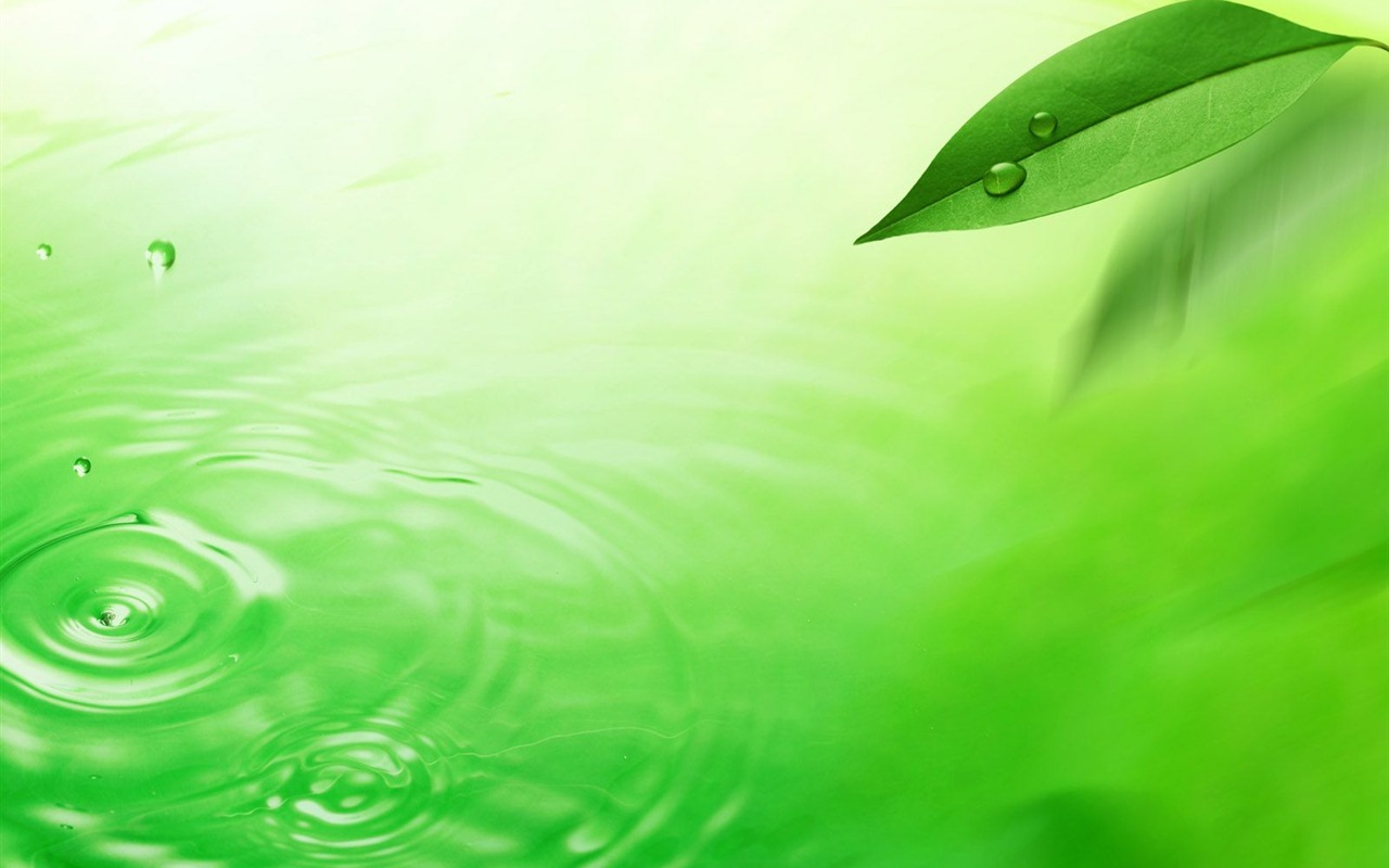 Watermark fresh green leaf wallpaper #4 - 1280x800