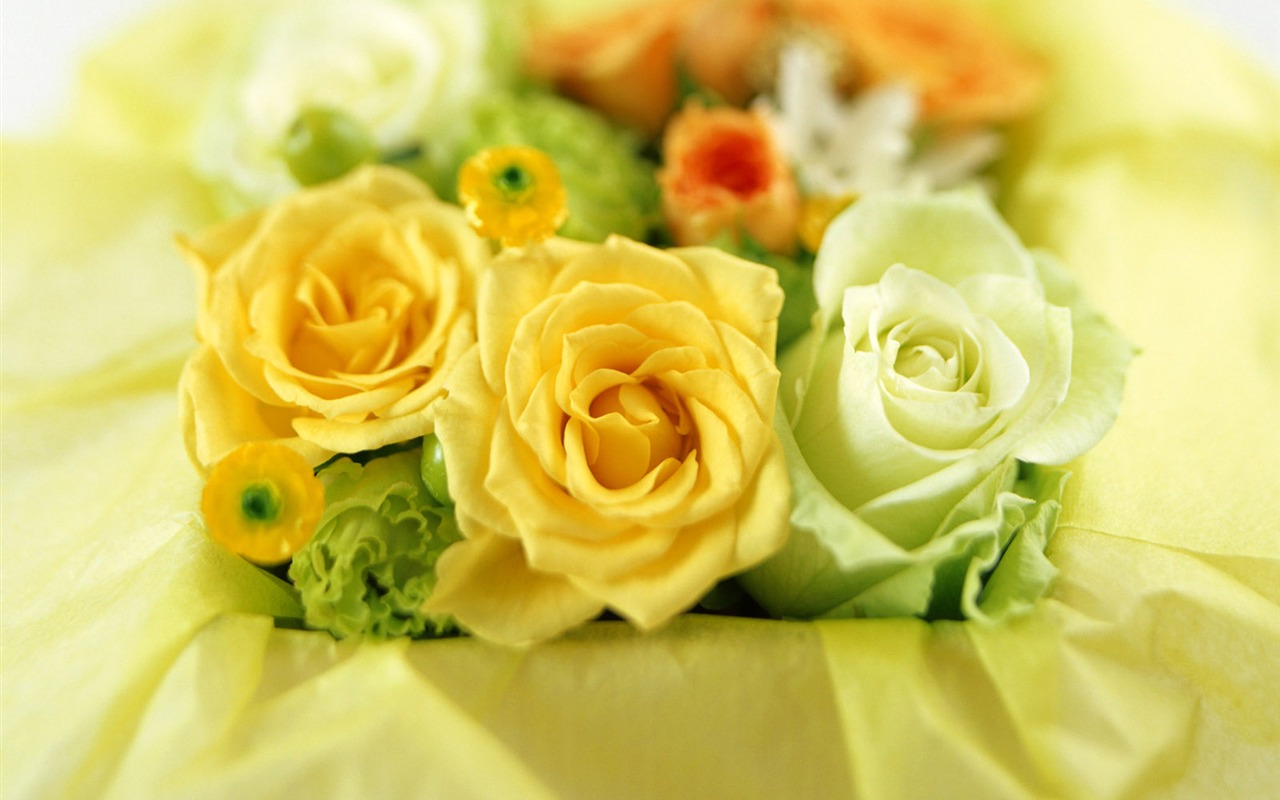 Flowers and gifts wallpaper (1) #9 - 1280x800