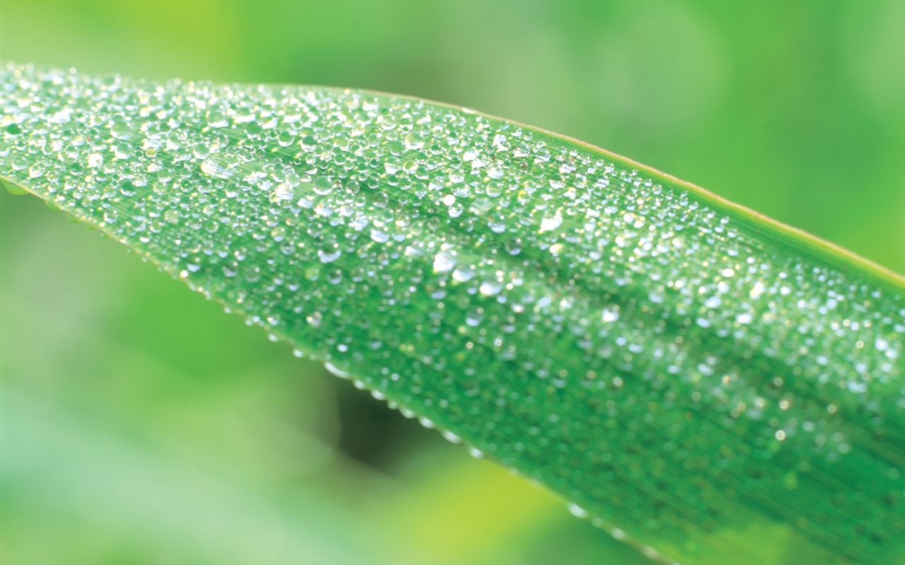 韓國自然風光 #29 - 1280x800