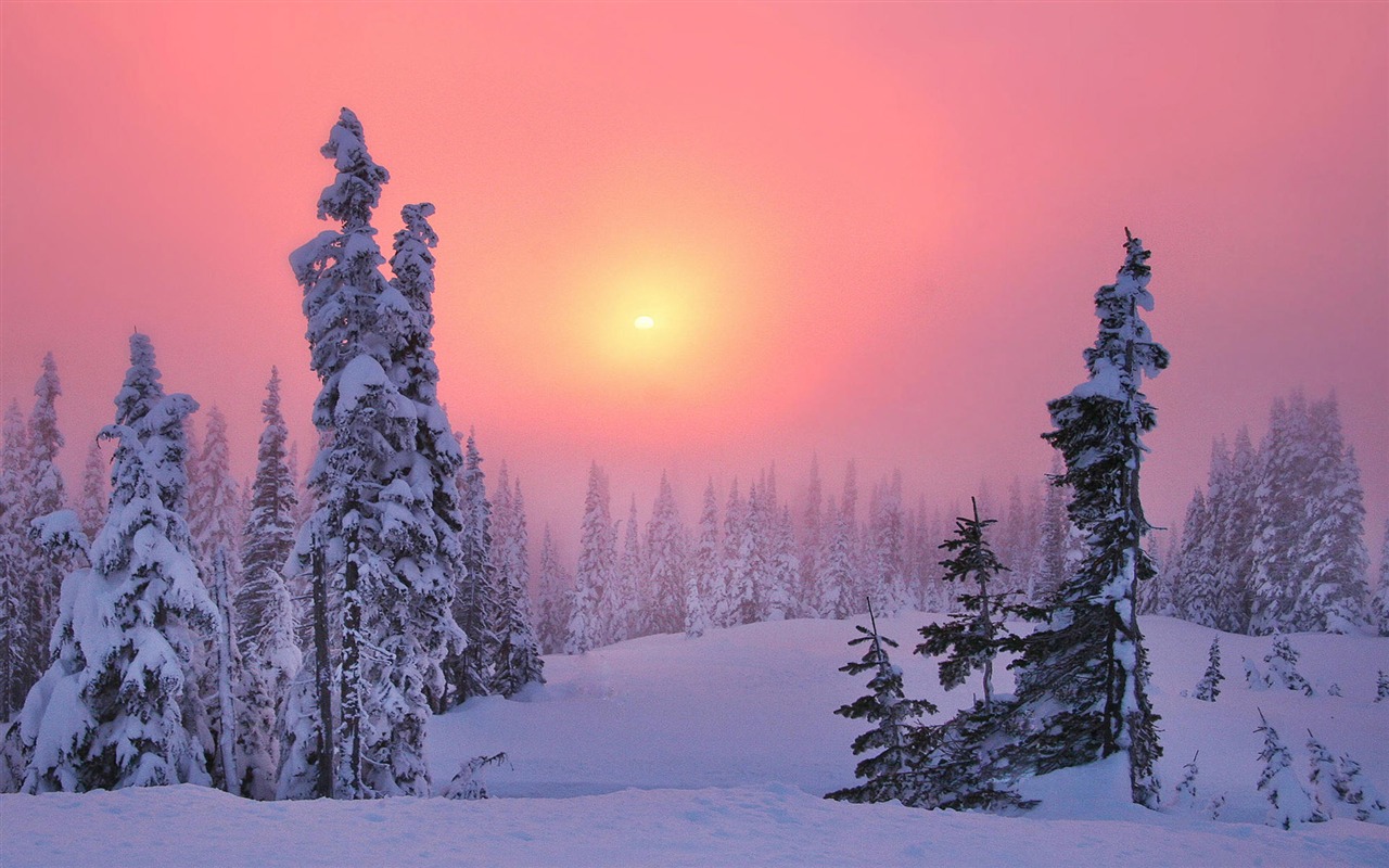 Scenery Collection Wallpapers (2) #6 - 1280x800