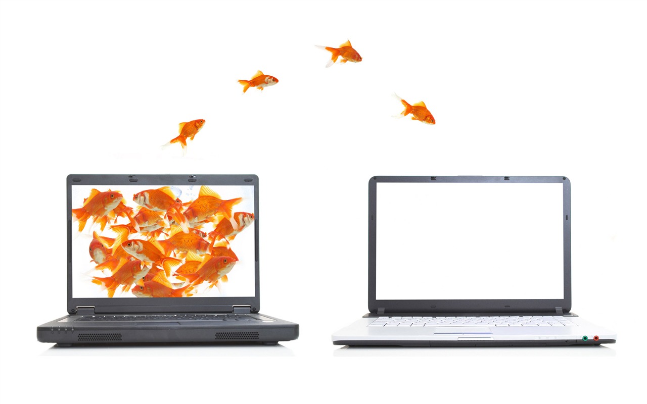 Jumping goldfish wallpaper #6 - 1280x800