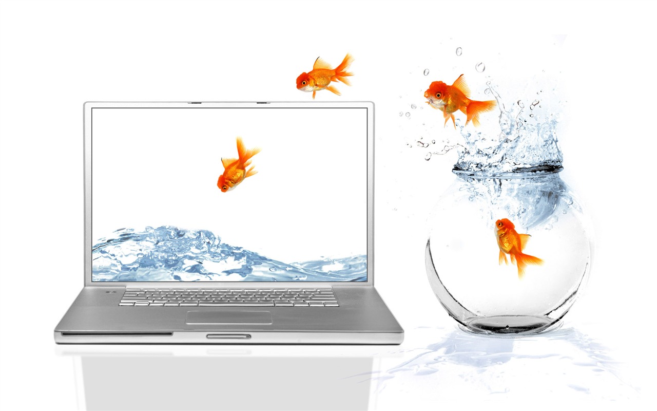 Jumping goldfish wallpaper #11 - 1280x800