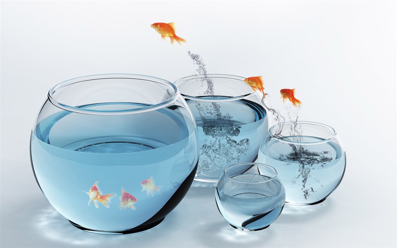 Jumping goldfish wallpaper #13 - 1280x800