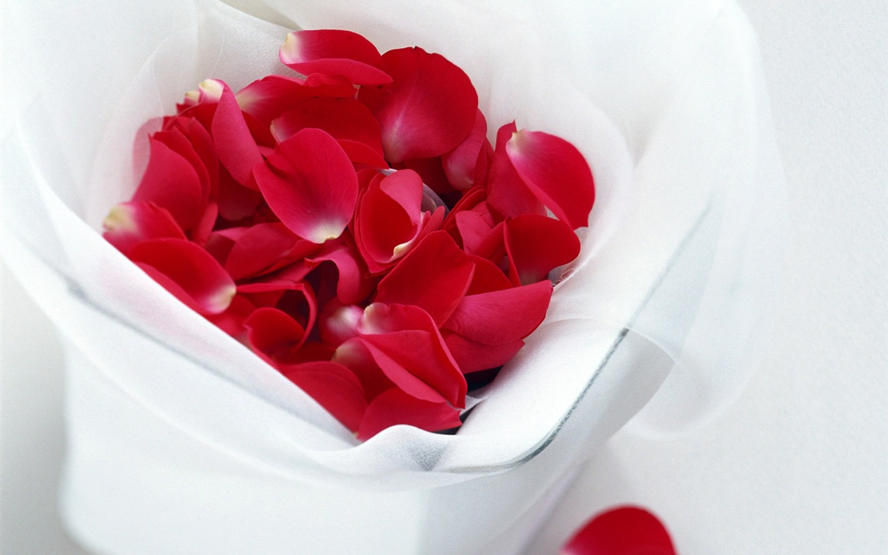Flowers and gifts wallpaper (2) #14 - 1280x800