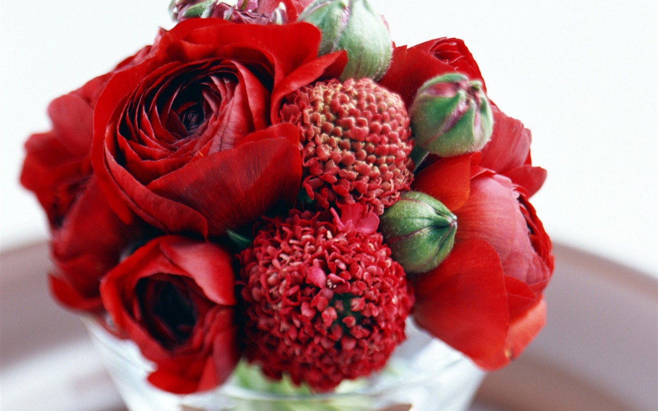 Flowers and gifts wallpaper (2) #18 - 1280x800