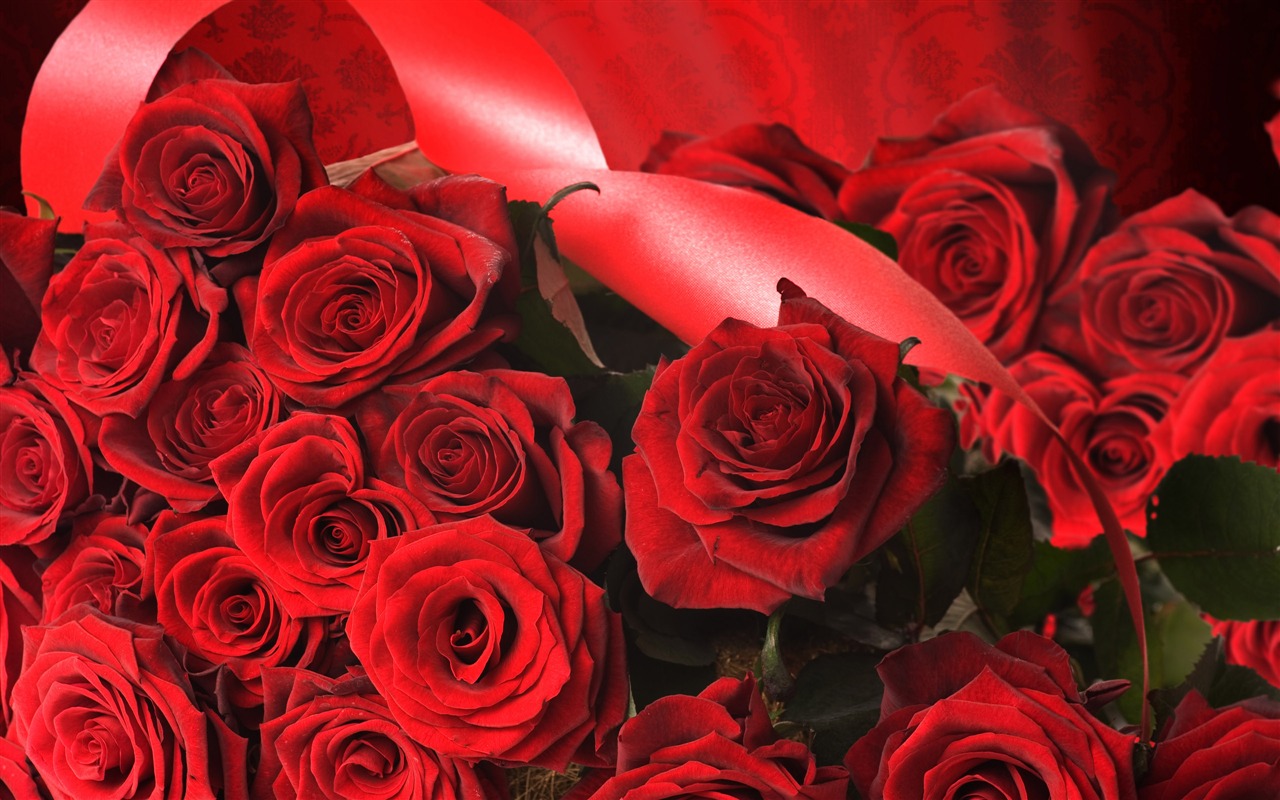 Large Rose Photo Wallpaper (4) #18 - 1280x800