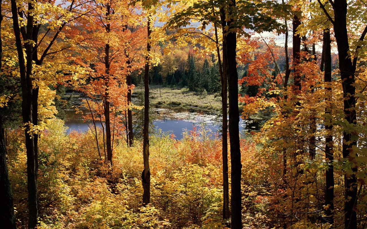 Canadian Landscape HD Wallpaper (2) #15 - 1280x800