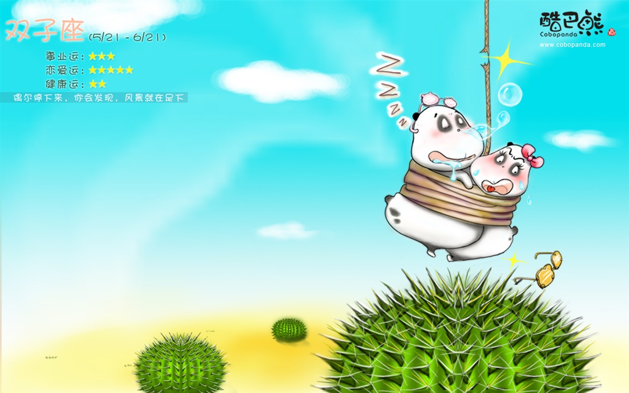 可愛酷巴熊壁紙(二) #2 - 1280x800