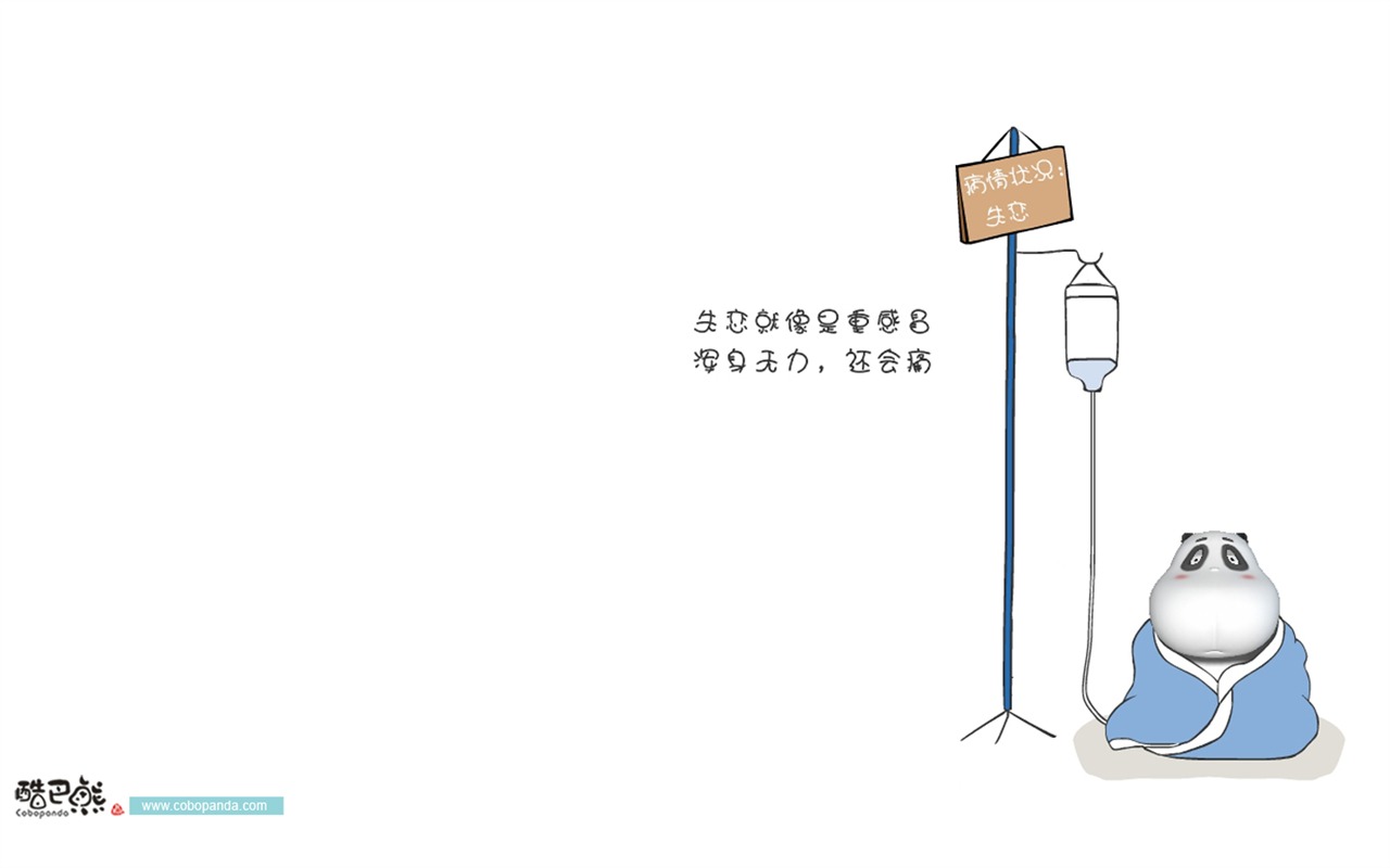 可愛酷巴熊壁紙(二) #6 - 1280x800
